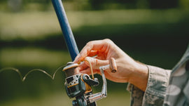 Pesca