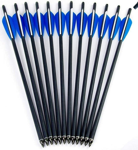 Paquete De 12 Flechas De 20 Pulgadas Para Ballesta Punta Cam