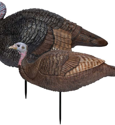Señuelo Decoy Primos Combo Pavo Guajolote Cocono Macho Hembr
