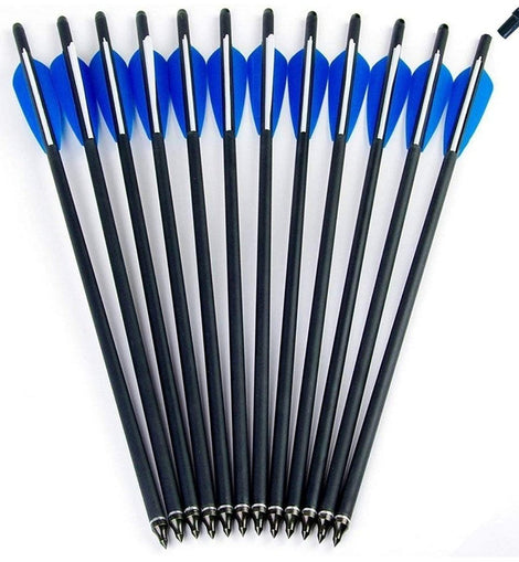 Paquete De 12 Flechas De 20 Pulgadas Para Ballesta Punta Cam