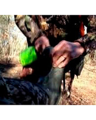 Eliminador De Olores Caceria Elimina Esencia Corporal Primos