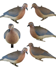 Kit De 6 Señuelos O Decoys Para La Cacería O Caza De Palomas