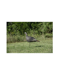 Hunters Specialties Hs Strut Lite Gallina Turquía Cuerpo Hue