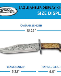 Cuchillo De Exhibición Con Adorno De Cacha De Venado Cuernos