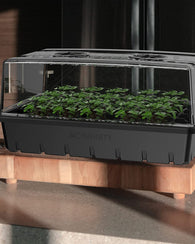 Caja Charola Semillero Humedad Kit Germinador Hidroponia Kit