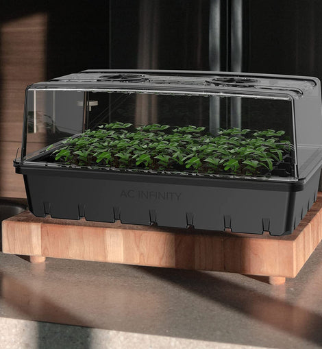 Caja Charola Semillero Humedad Kit Germinador Hidroponia Kit