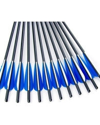Paquete De 12 Flechas De 20 Pulgadas Para Ballesta Punta Cam