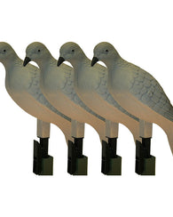 Decoy Paloma Caceria Realismo Combo O Kit Con 4 Señuelos