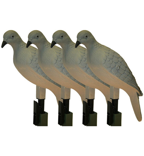 Decoy Paloma Caceria Realismo Combo O Kit Con 4 Señuelos