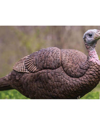 Señuelo Decoy Primos Combo Pavo Guajolote Cocono Macho Hembr